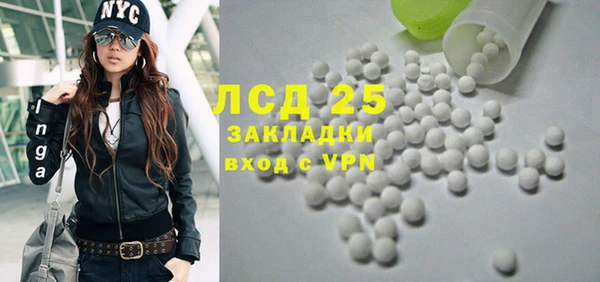 индика Арсеньев