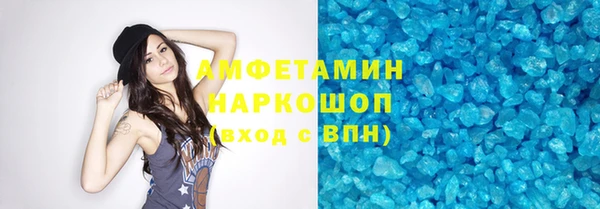 индика Арсеньев