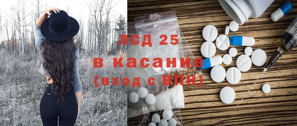 индика Арсеньев