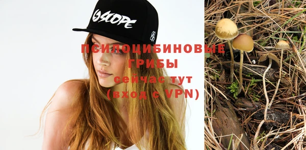 винт Аркадак