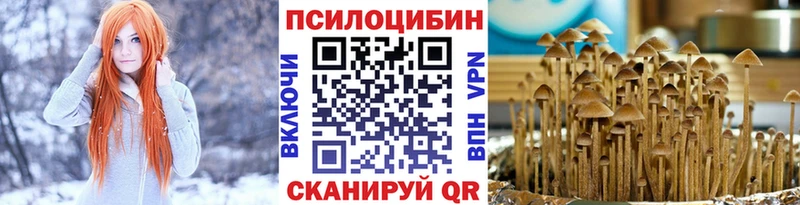 hydra рабочий сайт  где можно купить наркотик  Байкальск  Псилоцибиновые грибы мухоморы 